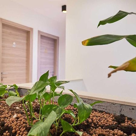 Boutique Garden Rooms 杜布罗夫尼克 外观 照片