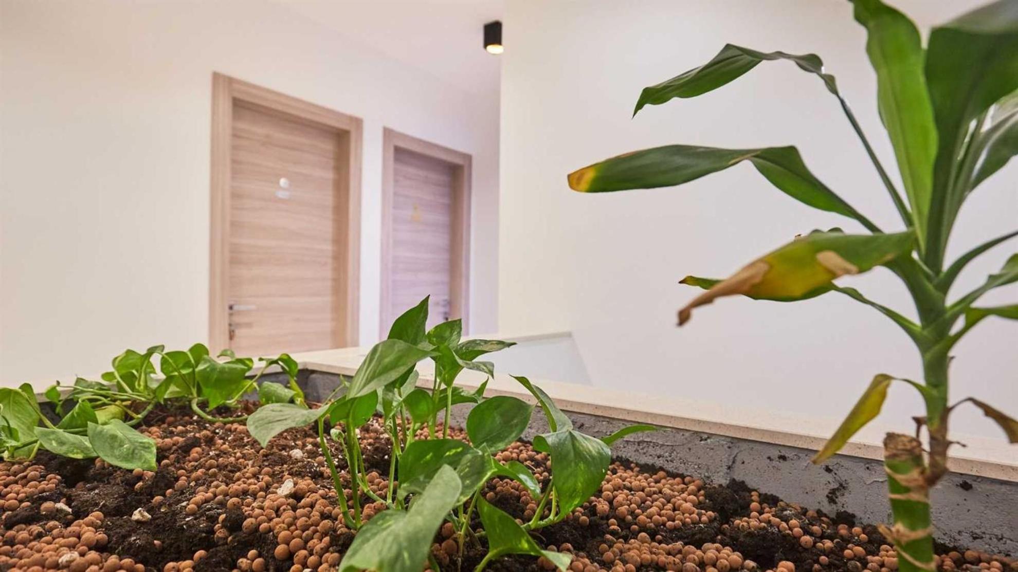 Boutique Garden Rooms 杜布罗夫尼克 外观 照片